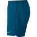 Nike Flex 7'' Distance Short