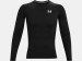 Under Armour HG Compression LS  Top