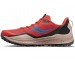 Saucony Peregrine 12