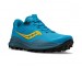 Saucony Peregrine 12