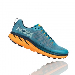 Mens Shoes - Trail