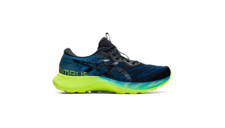 Asics Gel-Nimbus Lite 2